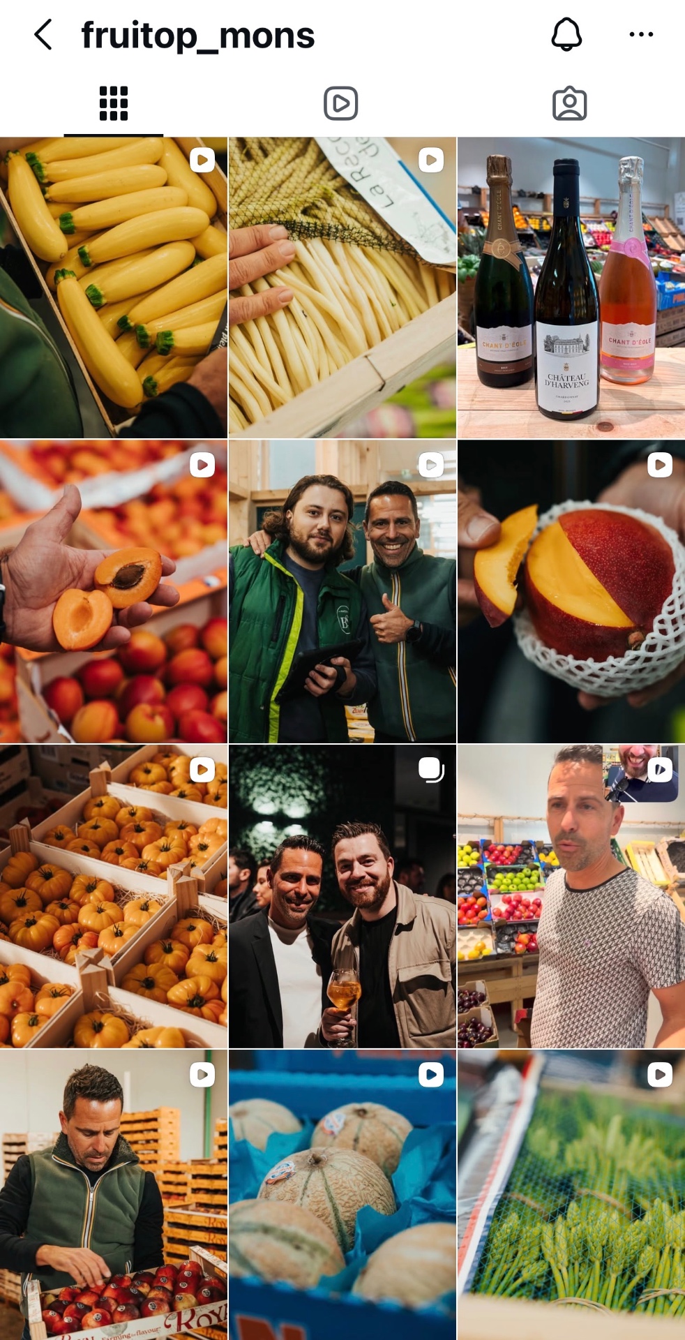 Feed Instagram Fruitop Mons