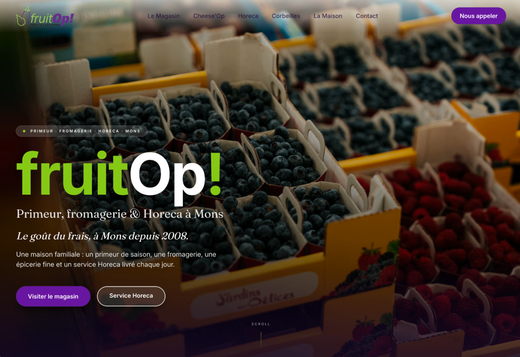 Aperçu du site Fruitop